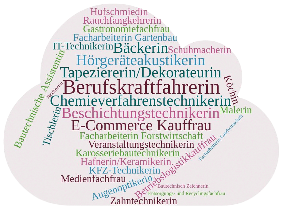 Berufswolke Berufswolke | PQu - Punktgenaue Qualifizierung | Frauenberatung Waldviertel